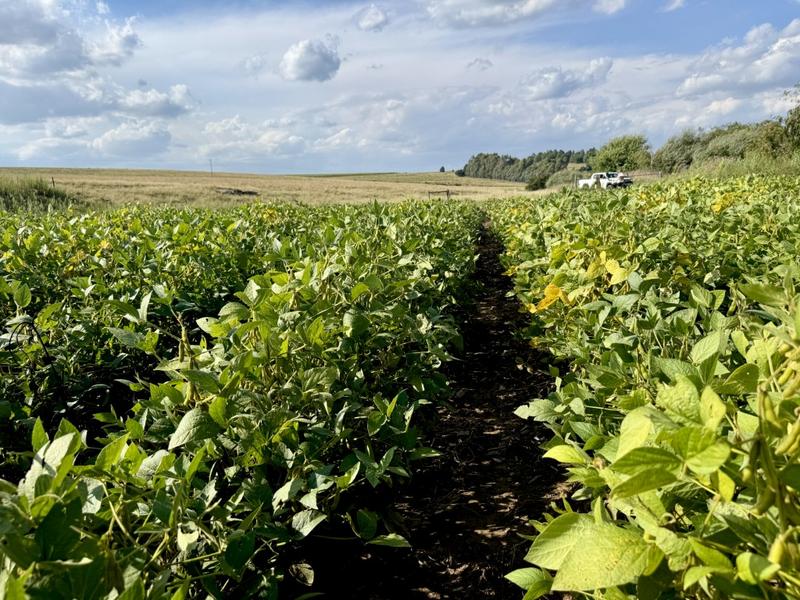 0 Bedroom Property for Sale in Harrismith Free State